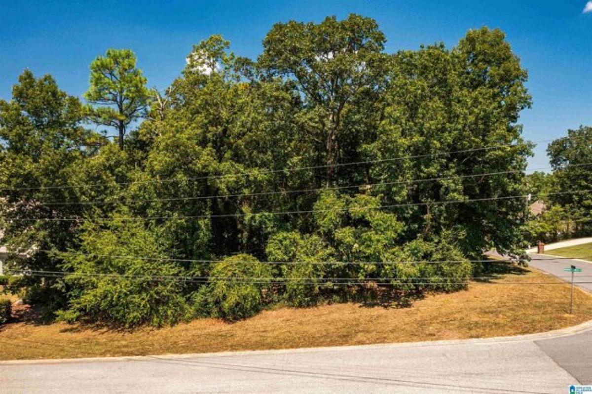 Picture of Residential Land For Sale in Alabaster, Alabama, United States