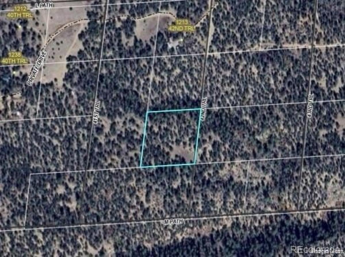 Picture of Residential Land For Rent in Cotopaxi, Colorado, United States