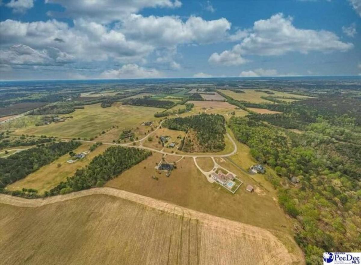 Picture of Residential Land For Sale in Florence, South Carolina, United States