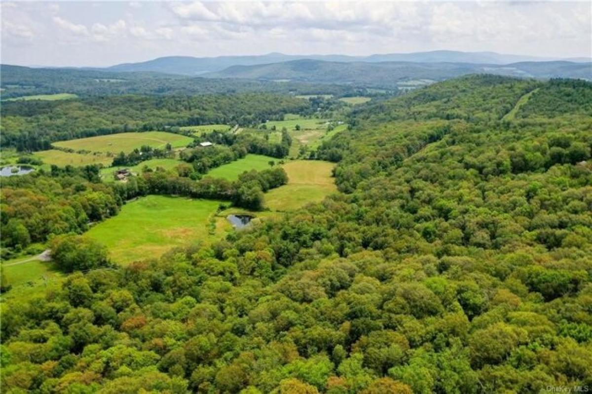 Picture of Residential Land For Sale in Hillsdale, New York, United States