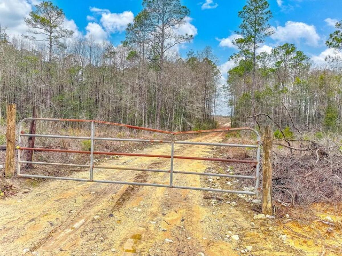 Picture of Residential Land For Sale in Caryville, Florida, United States