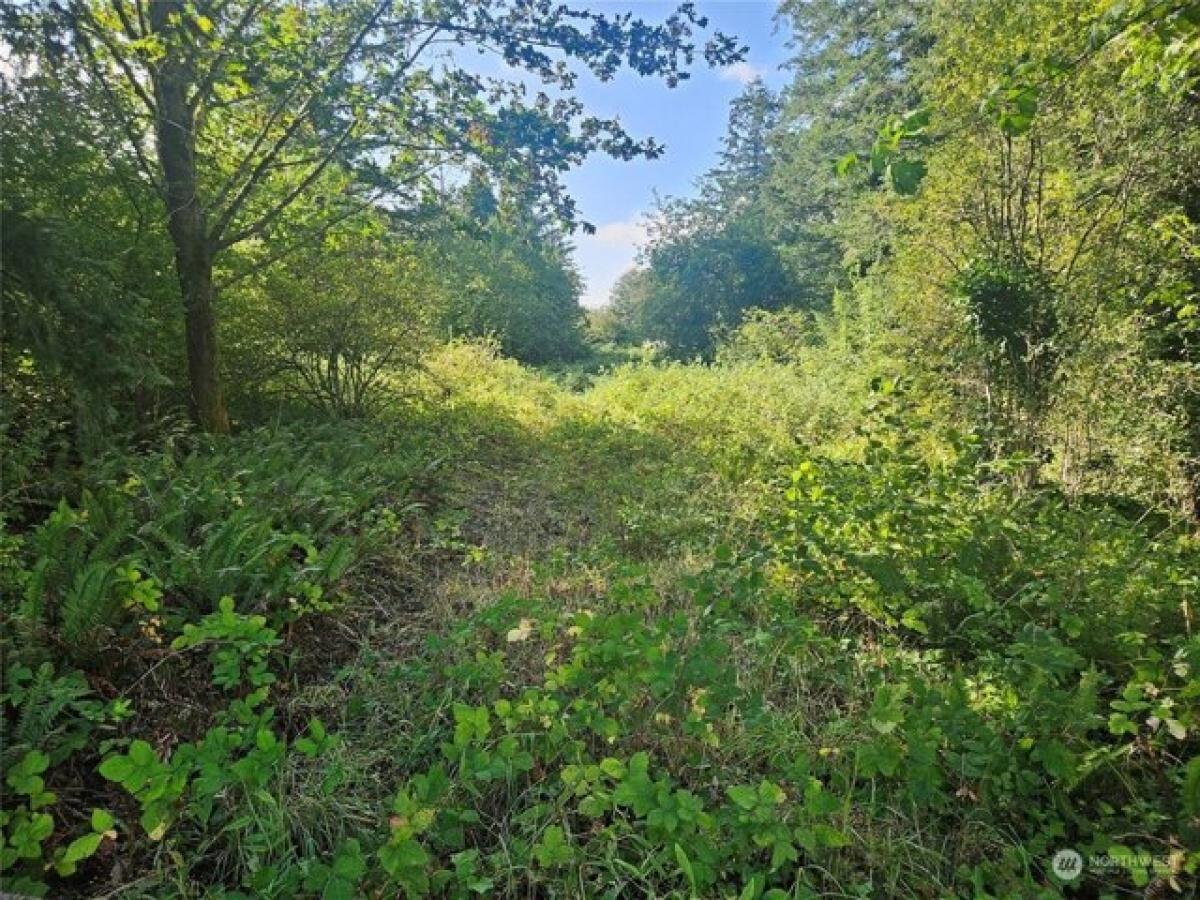 Picture of Residential Land For Sale in Quilcene, Washington, United States