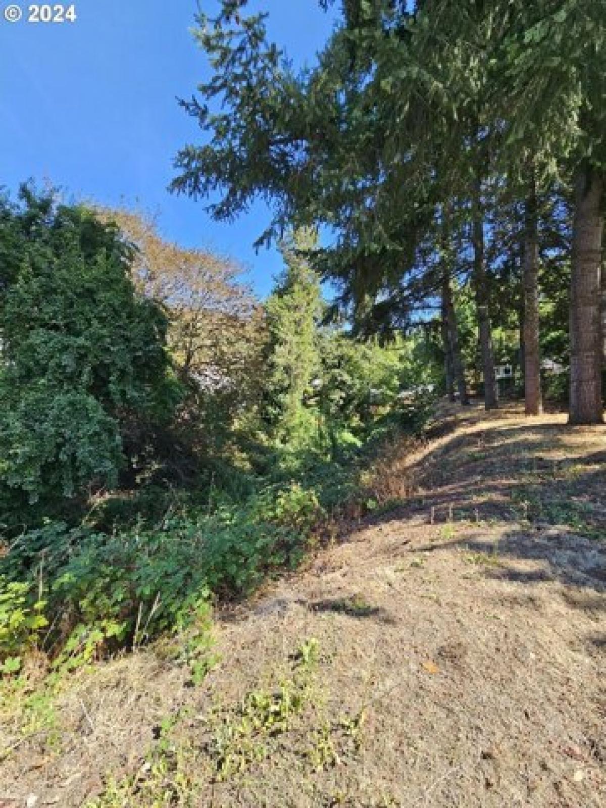 Picture of Residential Land For Sale in Roseburg, Oregon, United States