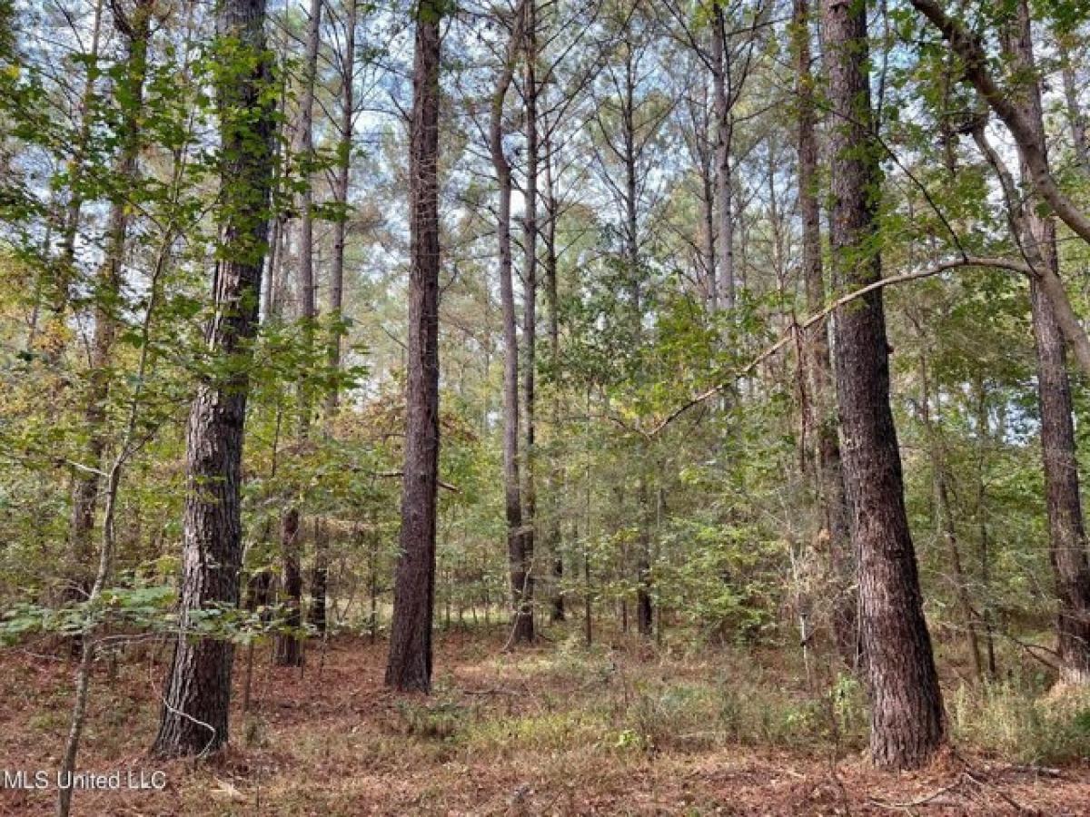 Picture of Residential Land For Sale in Flora, Mississippi, United States