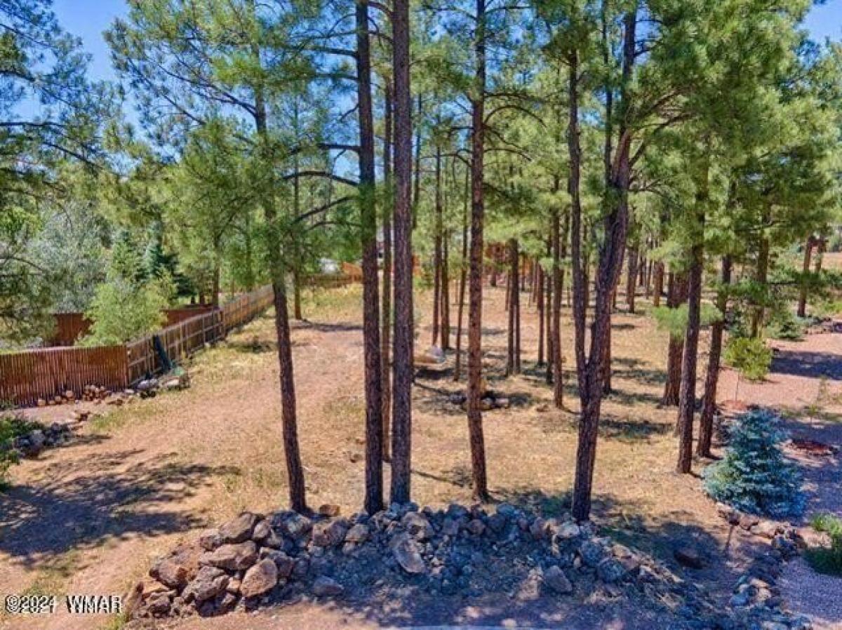 Picture of Residential Land For Sale in Pinetop, Arizona, United States