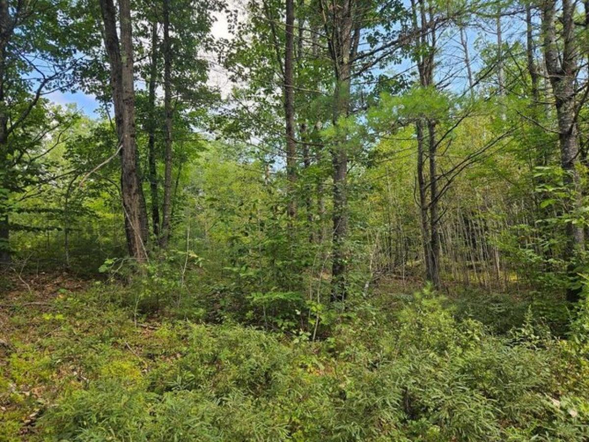 Picture of Residential Land For Sale in Greene, Maine, United States