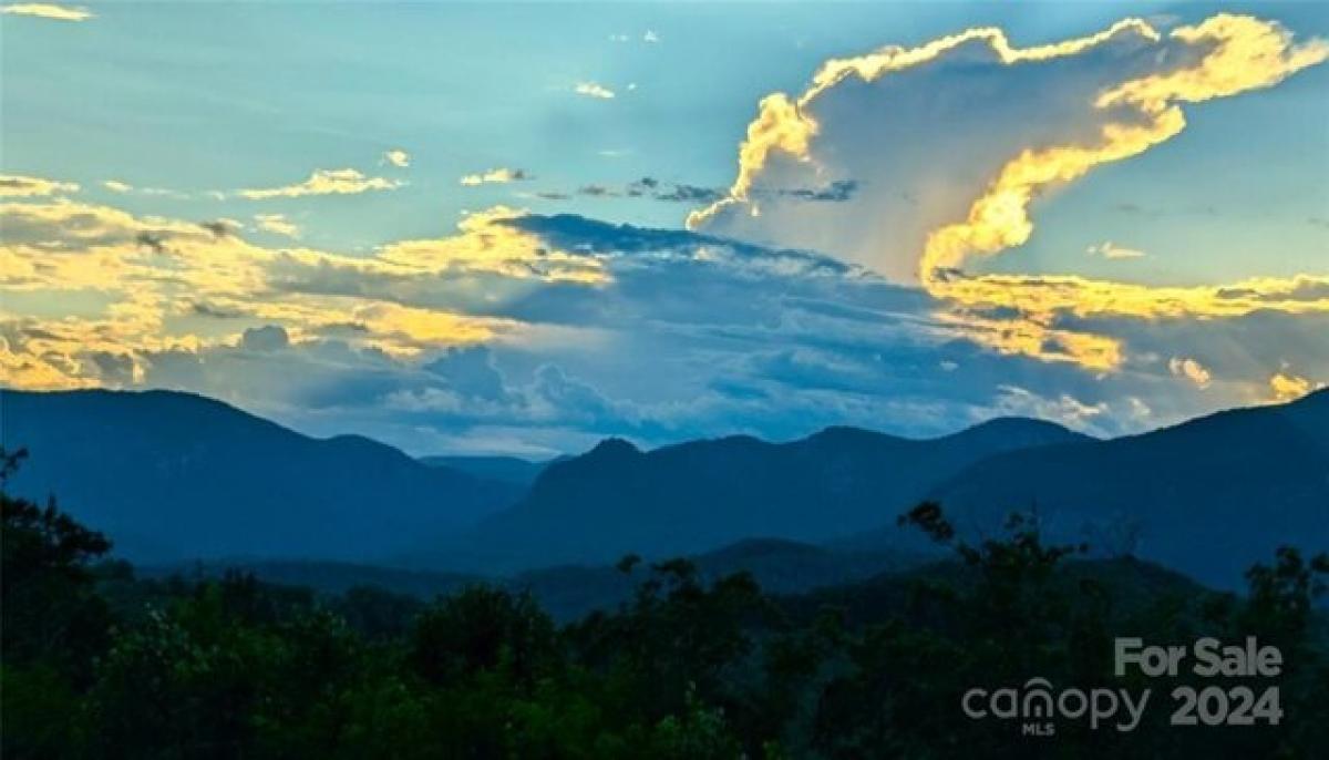 Picture of Residential Land For Sale in Lake Lure, North Carolina, United States