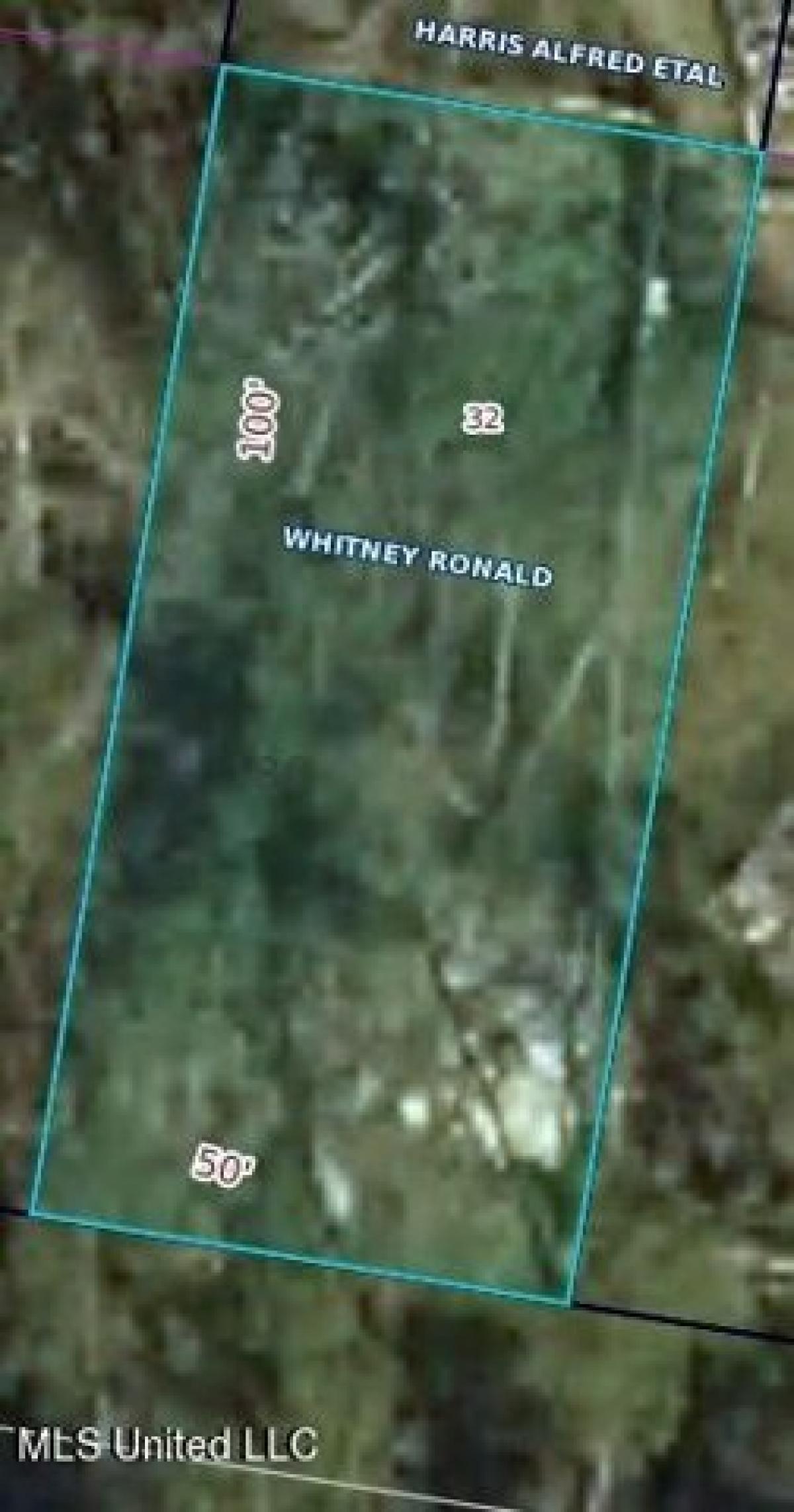 Picture of Residential Land For Rent in Waveland, Mississippi, United States