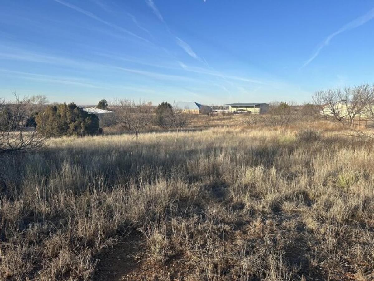 Picture of Residential Land For Sale in Amarillo, Texas, United States