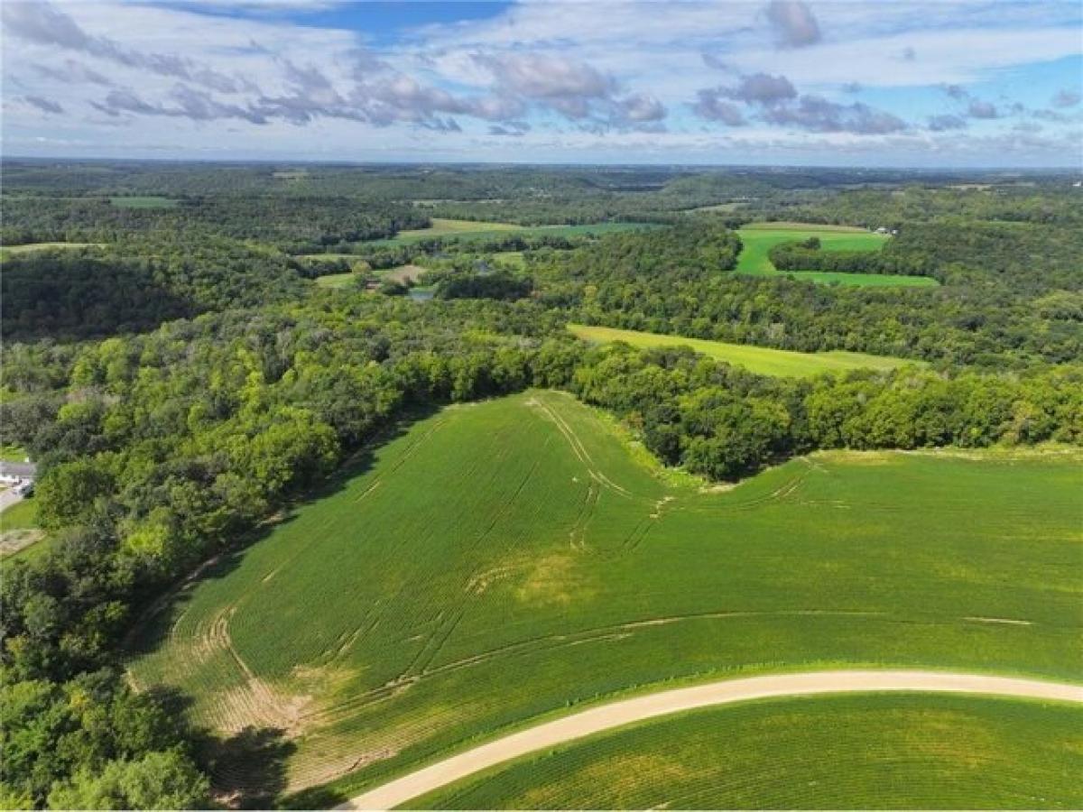 Picture of Residential Land For Sale in Zumbro Falls, Minnesota, United States