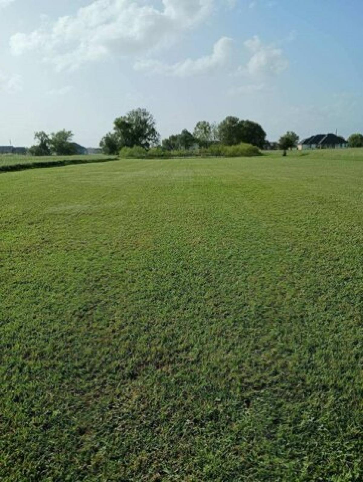 Picture of Residential Land For Sale in Angleton, Texas, United States