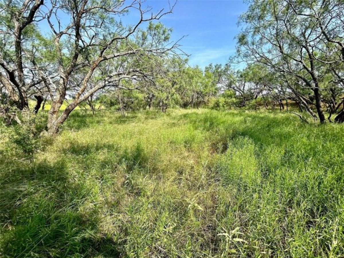 Picture of Residential Land For Sale in Ovalo, Texas, United States