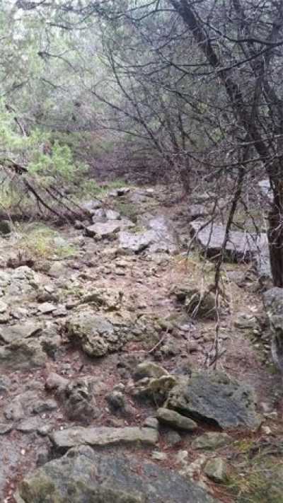 Residential Land For Sale in Dripping Springs, Texas