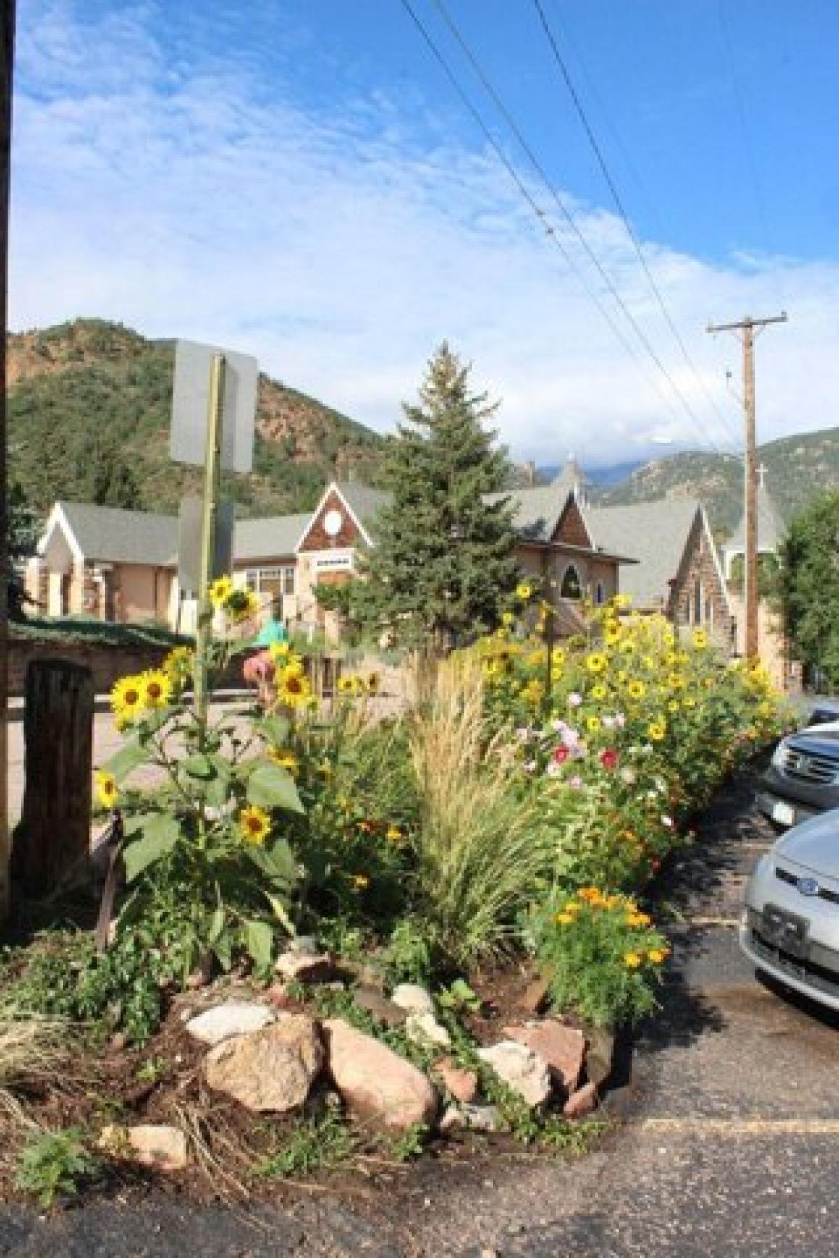 Picture of Apartment For Rent in Manitou Springs, Colorado, United States