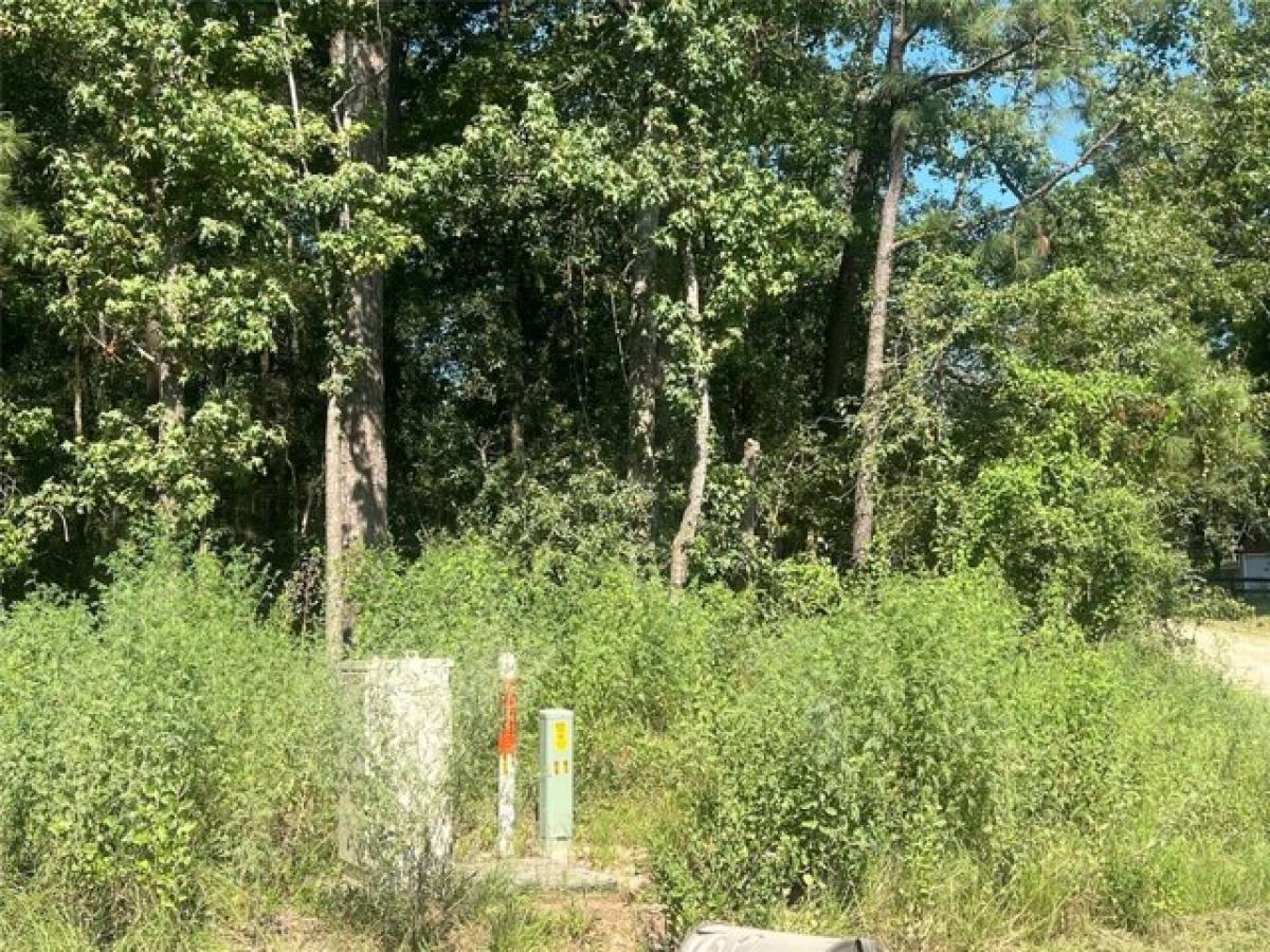 Picture of Residential Land For Sale in Oakhurst, Texas, United States