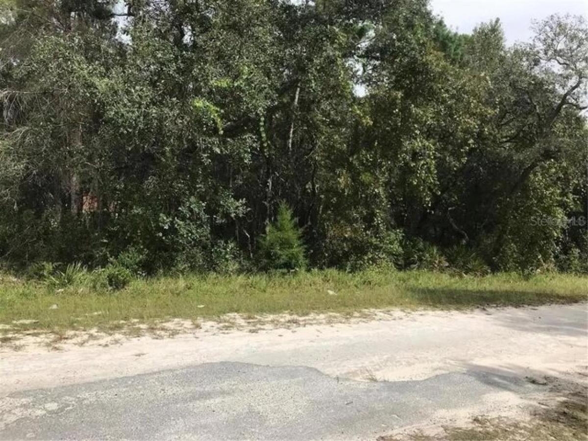 Picture of Residential Land For Sale in Weeki Wachee, Florida, United States