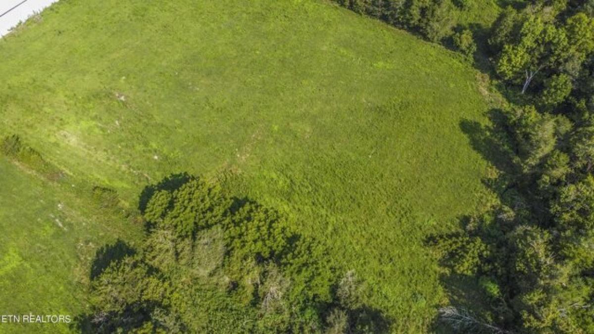 Picture of Residential Land For Sale in Sharps Chapel, Tennessee, United States