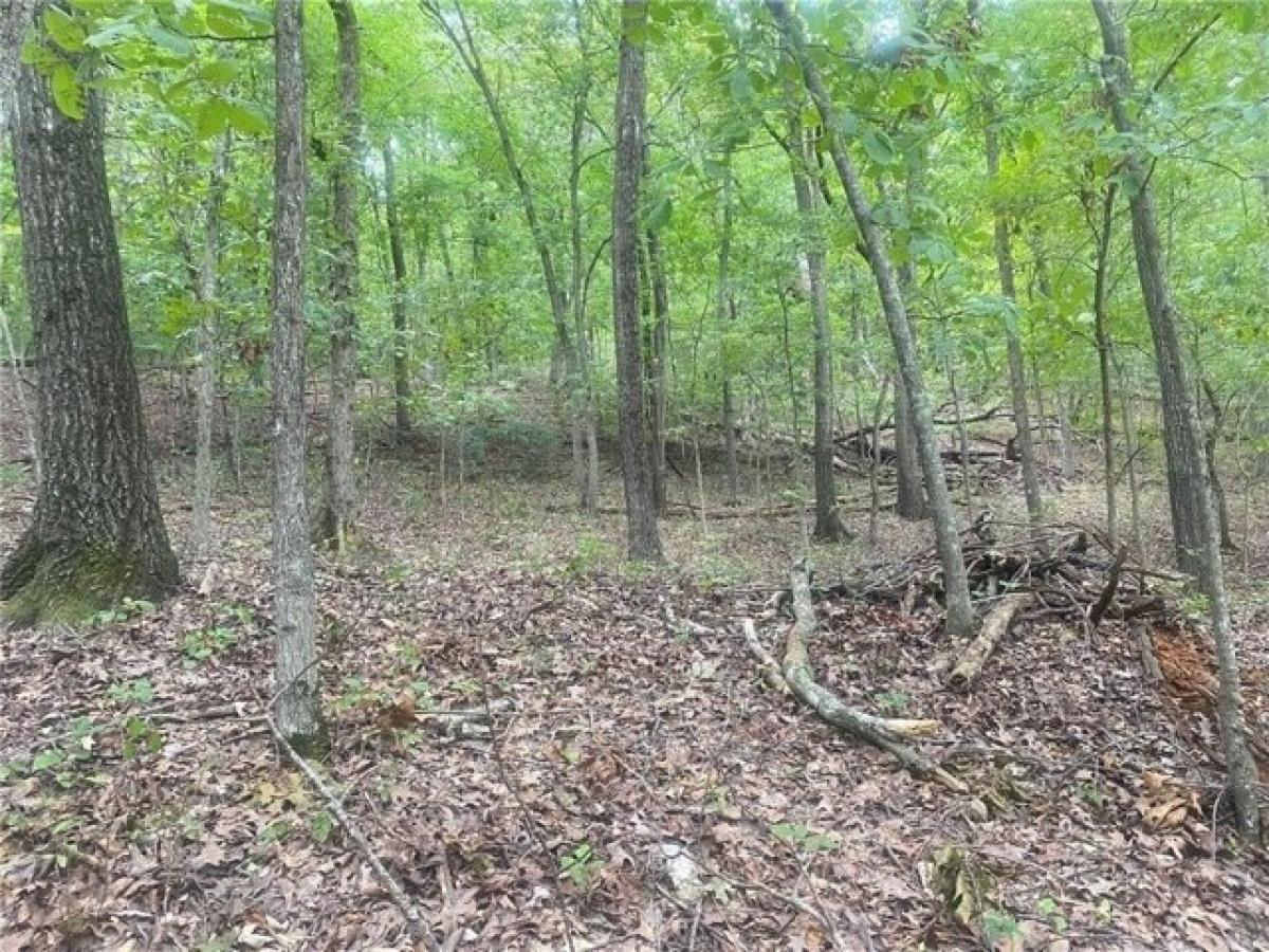 Picture of Residential Land For Rent in Eureka Springs, Arkansas, United States