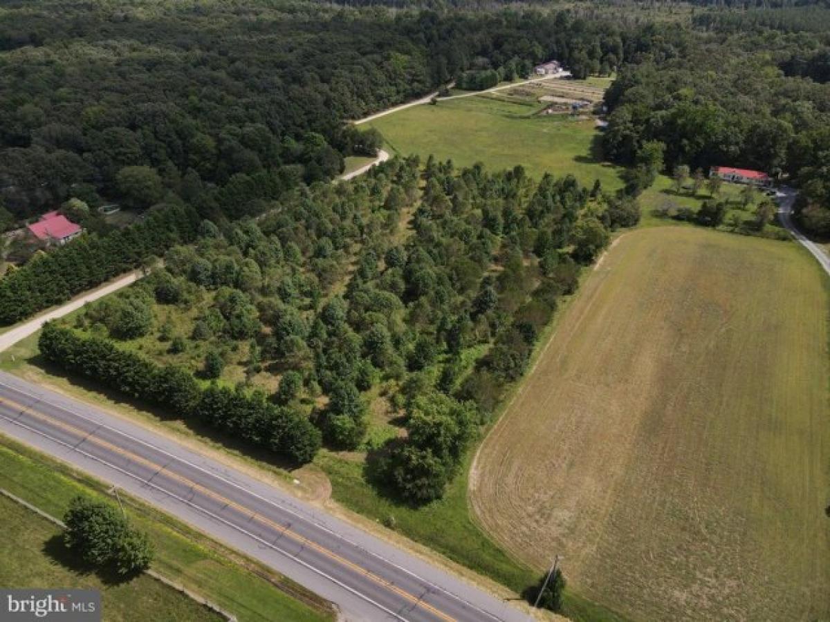 Picture of Residential Land For Sale in Georgetown, Delaware, United States