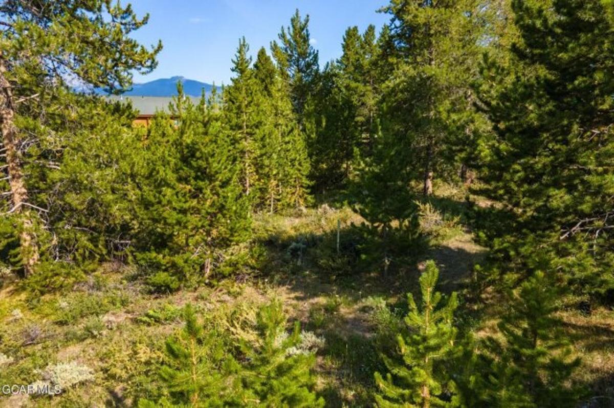 Picture of Residential Land For Sale in Grand Lake, Colorado, United States