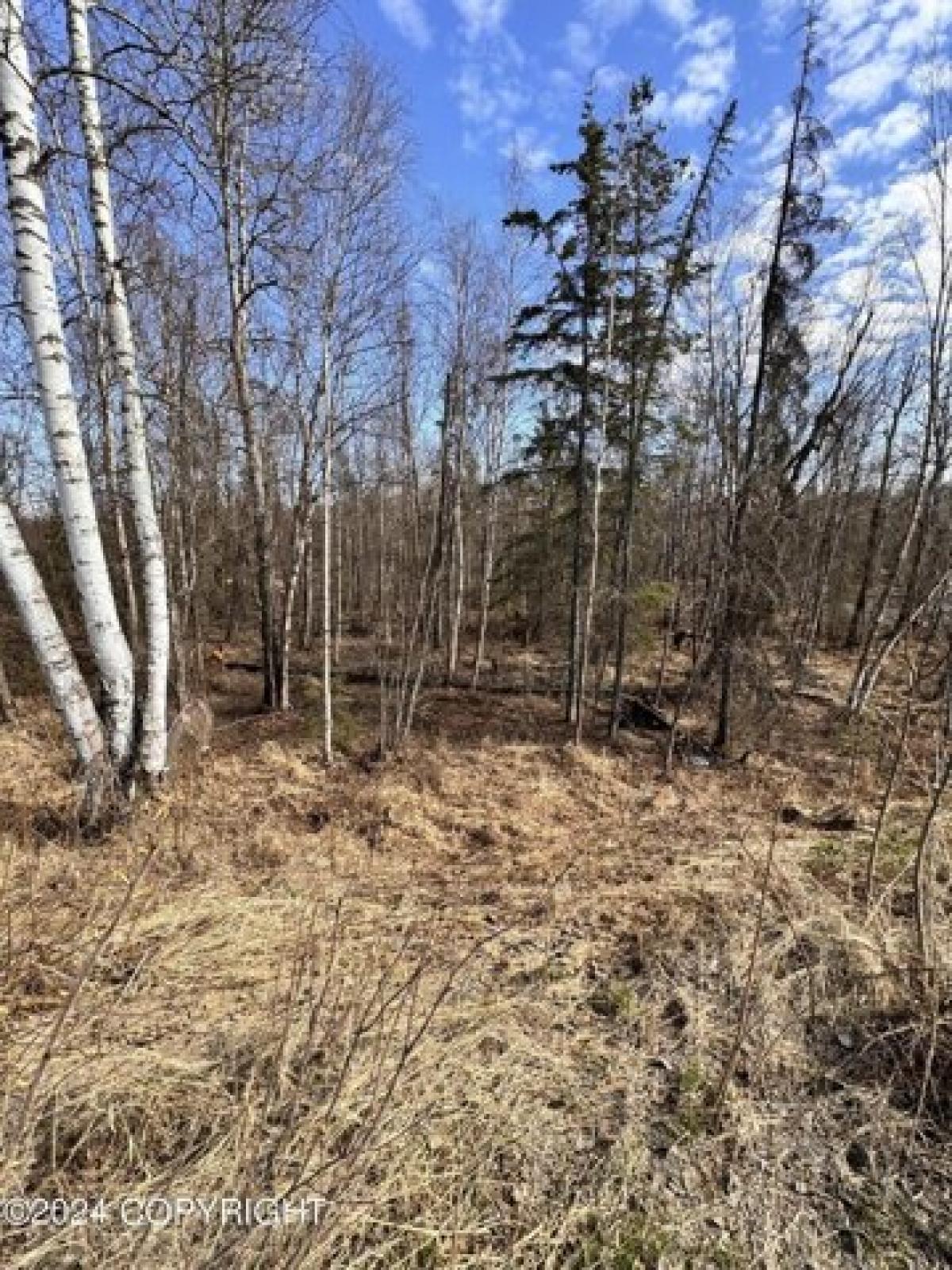 Picture of Residential Land For Sale in Wasilla, Alaska, United States