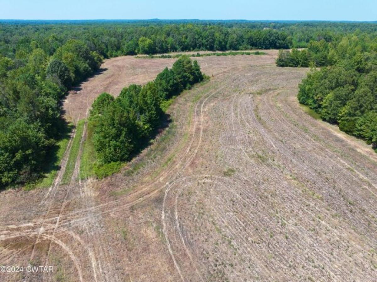 Picture of Residential Land For Sale in Lexington, Tennessee, United States