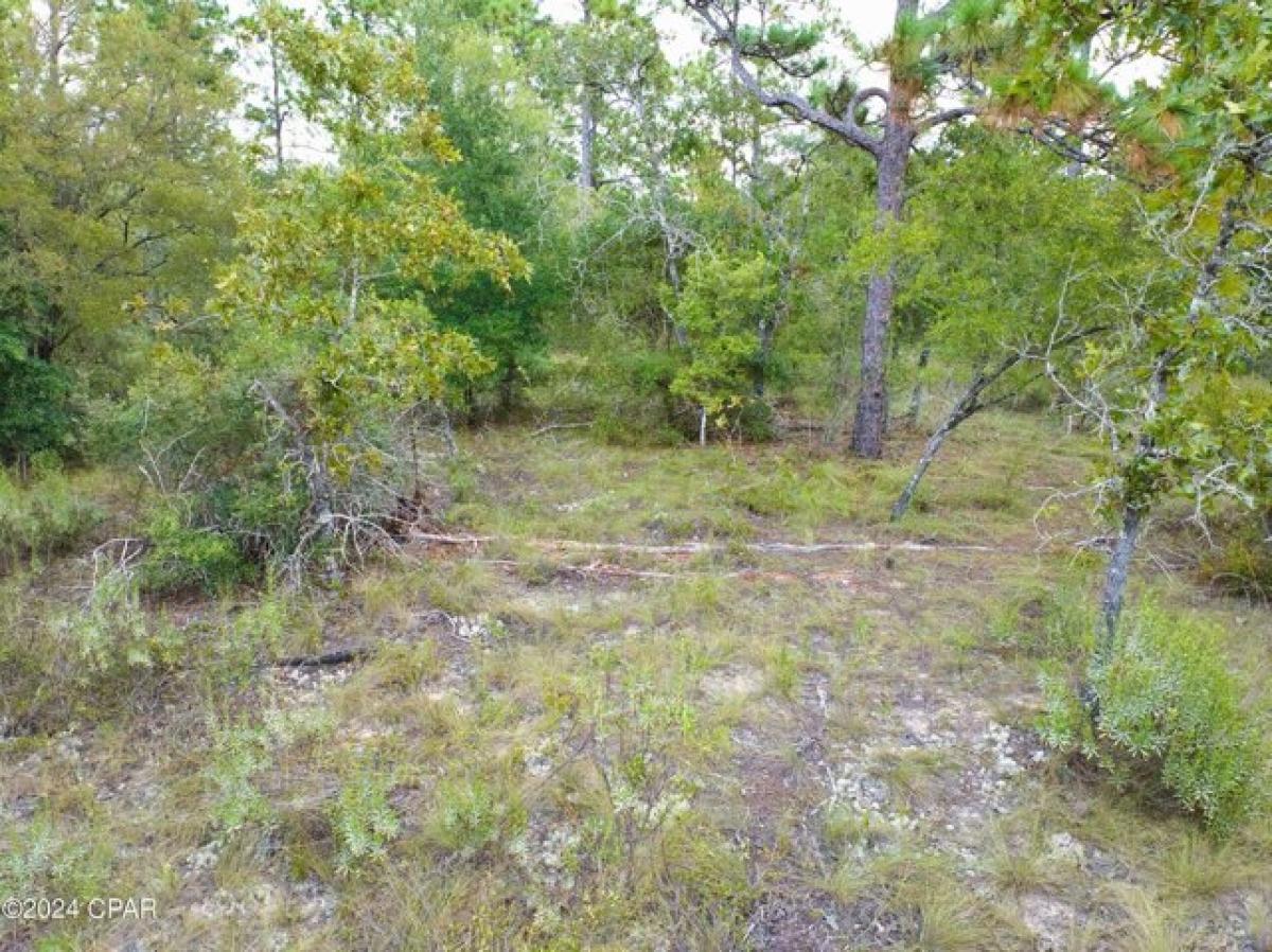 Picture of Residential Land For Sale in Chipley, Florida, United States