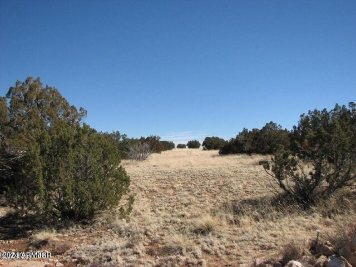 Picture of Residential Land For Sale in Heber, Arizona, United States