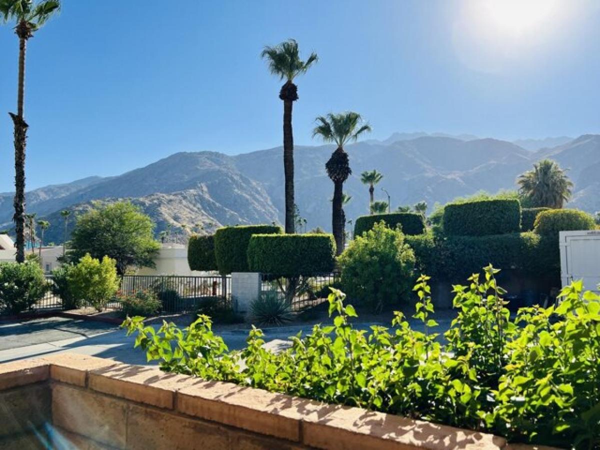 Picture of Home For Rent in Palm Springs, California, United States