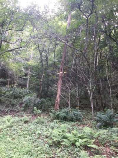 Residential Land For Sale in 