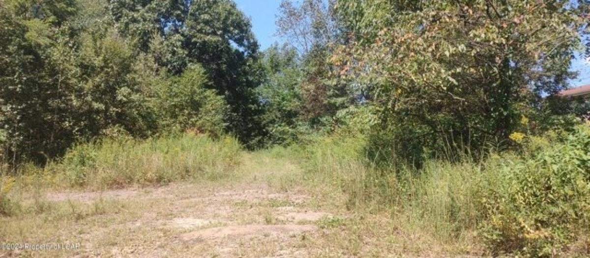 Picture of Residential Land For Sale in Nanticoke, Pennsylvania, United States