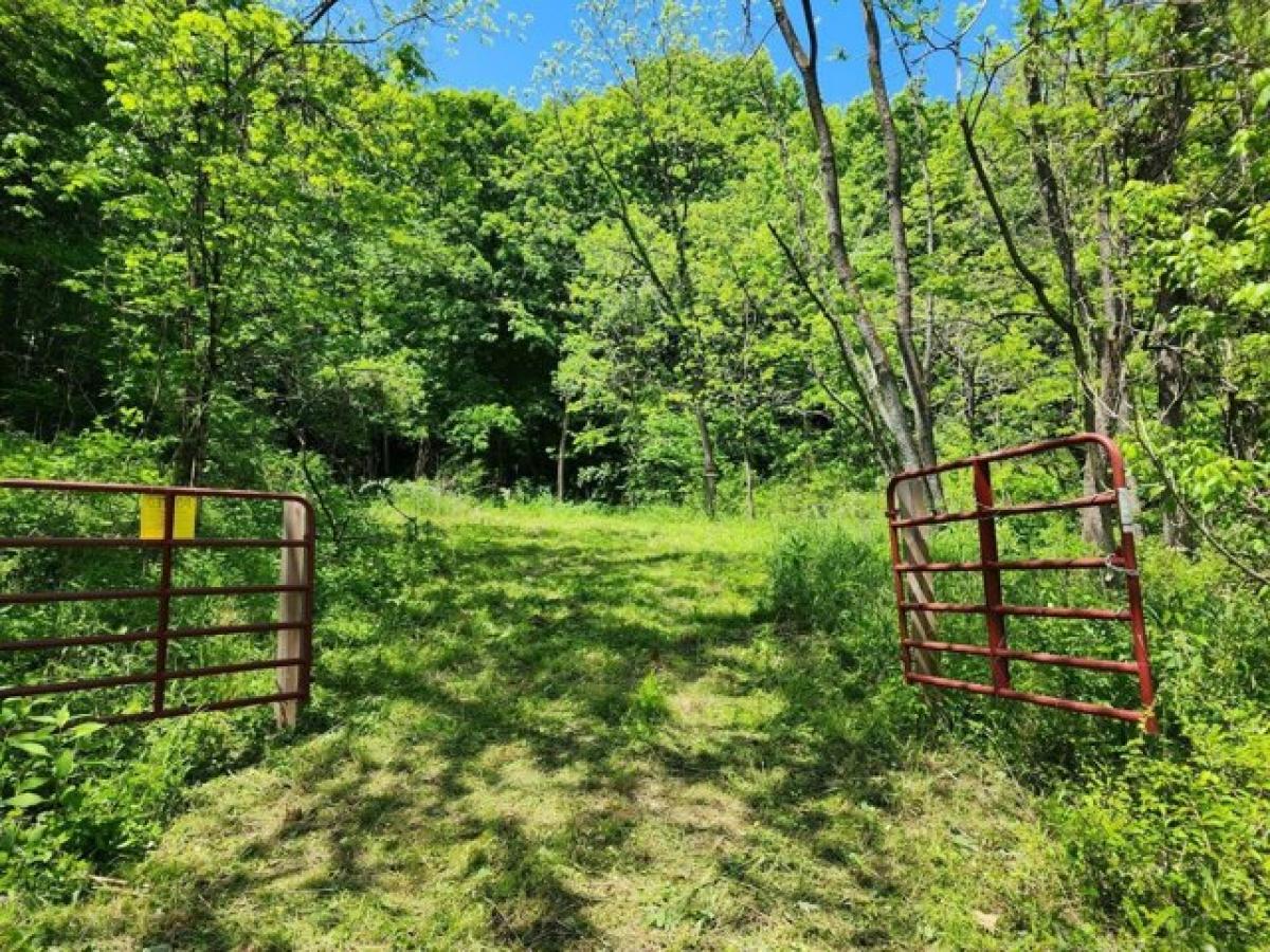 Picture of Residential Land For Sale in Millfield, Ohio, United States