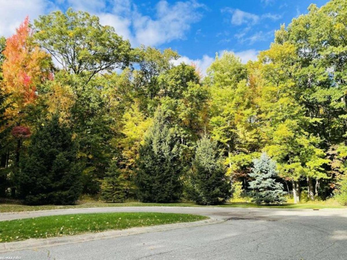 Picture of Residential Land For Sale in Oxford, Michigan, United States