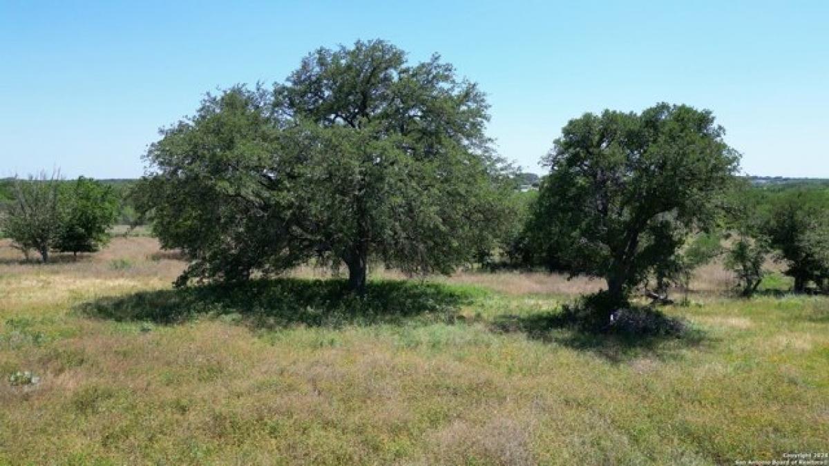 Picture of Home For Sale in Schertz, Texas, United States