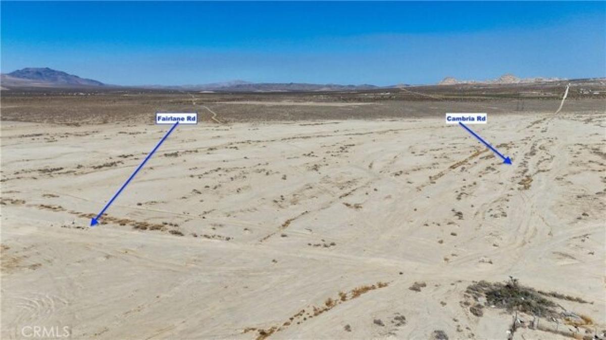 Picture of Residential Land For Sale in Lucerne Valley, California, United States