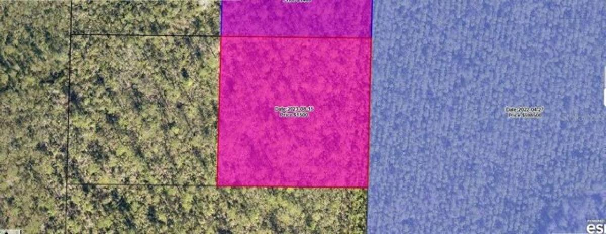 Picture of Residential Land For Sale in Fountain, Florida, United States