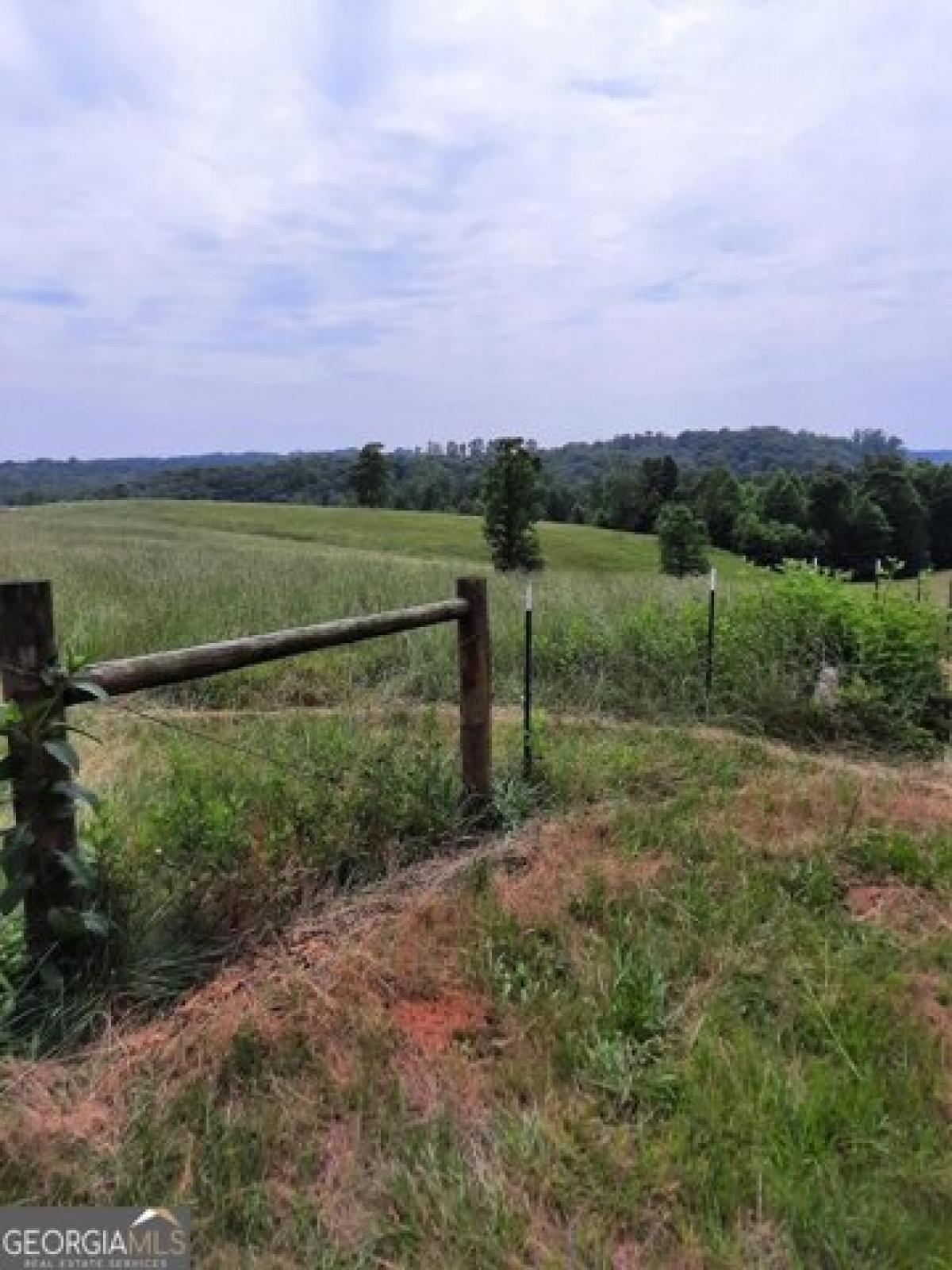 Picture of Residential Land For Sale in Toccoa, Georgia, United States