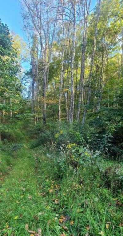 Residential Land For Sale in Hillsboro, West Virginia