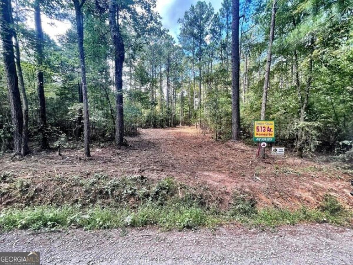 Picture of Residential Land For Sale in Zebulon, Georgia, United States