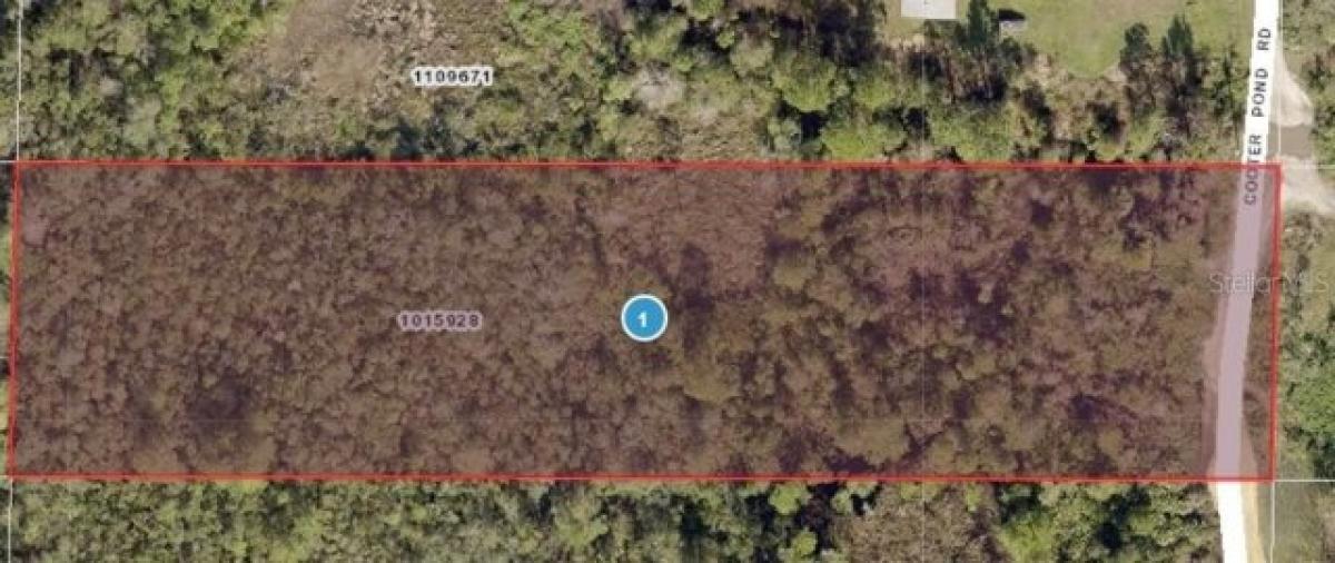 Picture of Residential Land For Sale in Deland, Florida, United States