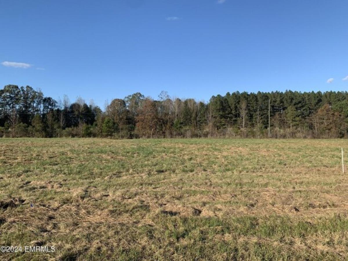 Picture of Residential Land For Sale in Collinsville, Mississippi, United States