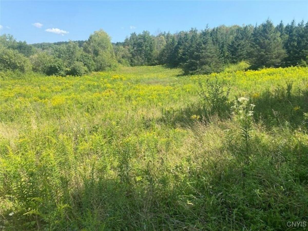 Picture of Residential Land For Sale in Canaseraga, New York, United States