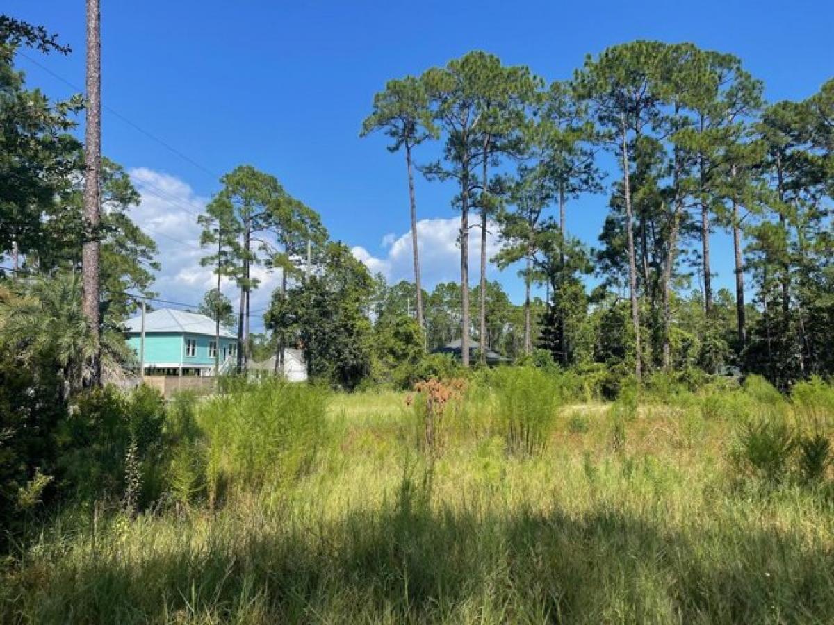 Picture of Residential Land For Sale in Santa Rosa Beach, Florida, United States