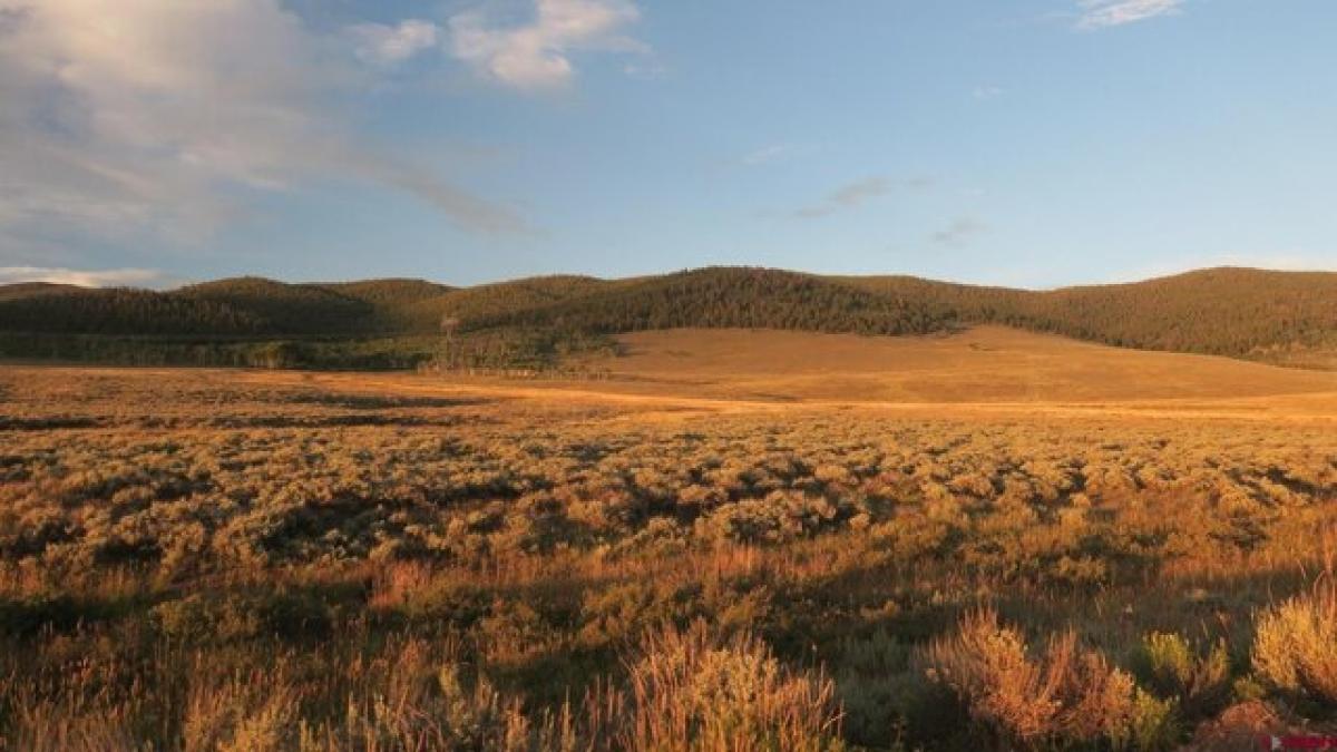 Picture of Residential Land For Sale in Gunnison, Colorado, United States