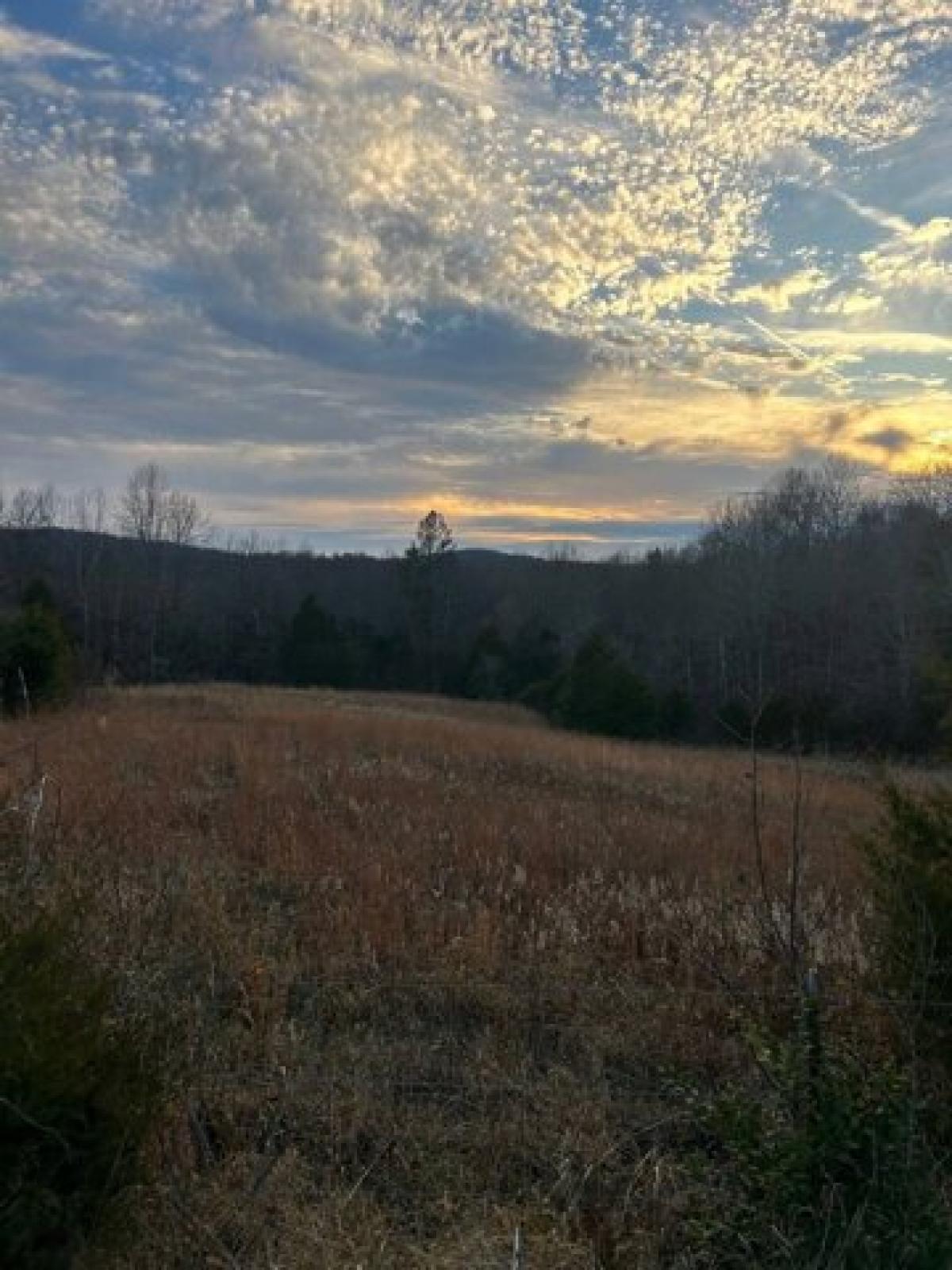 Picture of Residential Land For Sale in Magnolia, Kentucky, United States