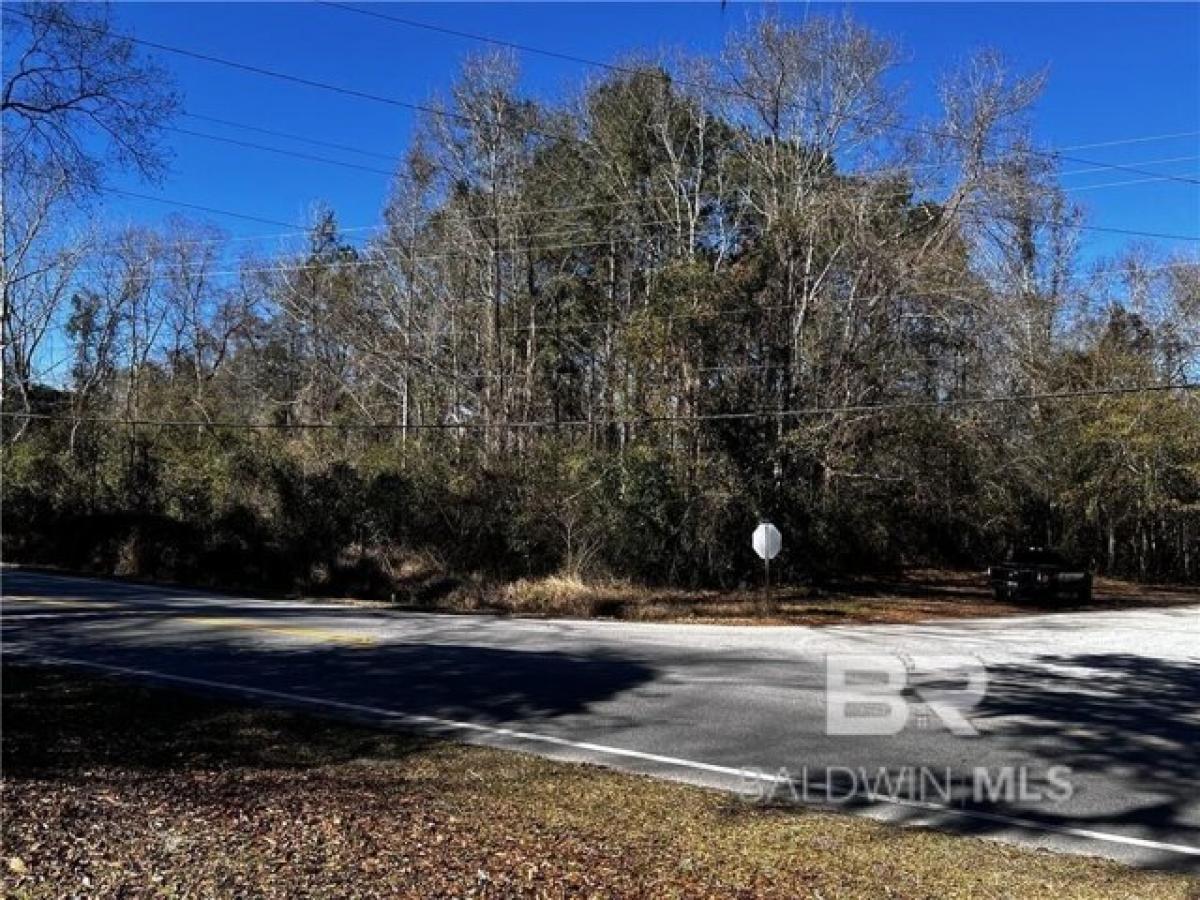 Picture of Residential Land For Sale in Saraland, Alabama, United States