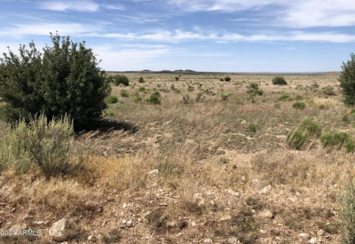 Picture of Residential Land For Sale in Williams, Arizona, United States