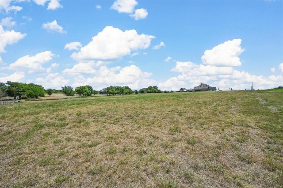 Picture of Residential Land For Sale in Farmersville, Texas, United States