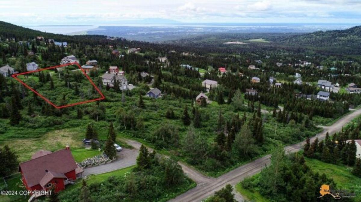 Picture of Residential Land For Sale in Anchorage, Alaska, United States