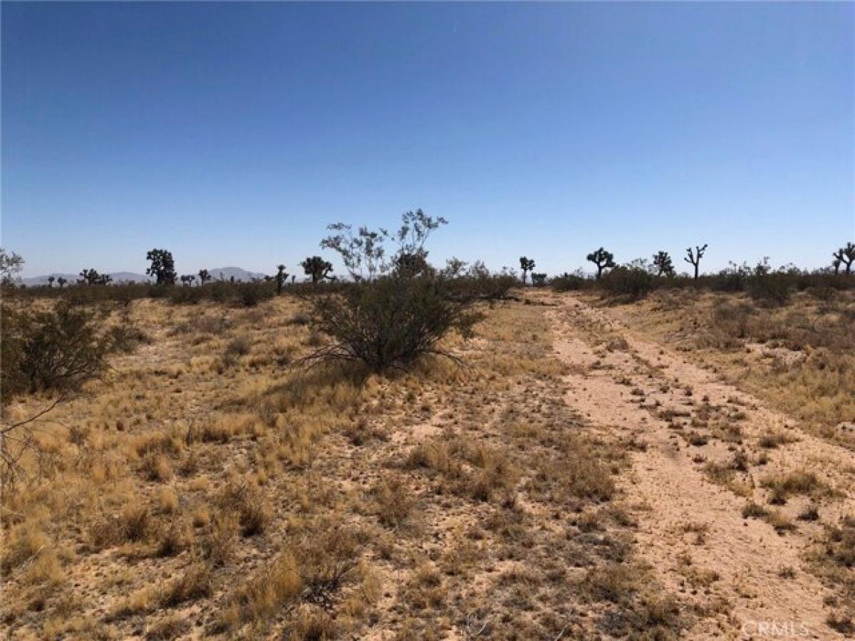 Picture of Residential Land For Sale in Adelanto, California, United States